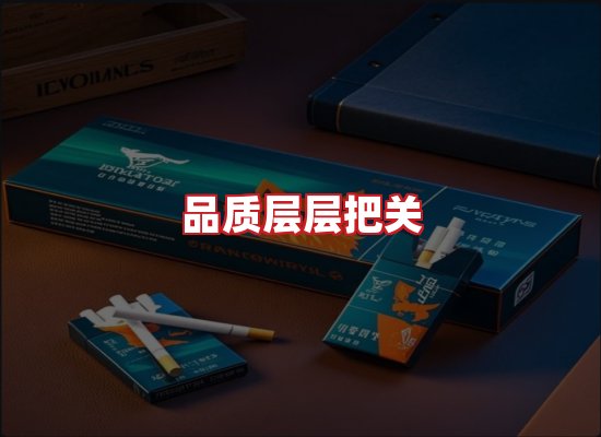 专业团队